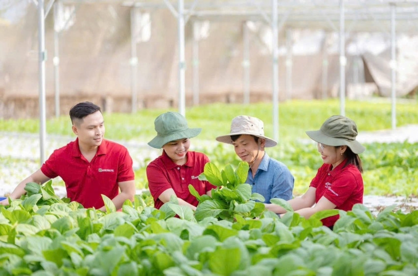 Agribank cùng đất nước thực hiện mục tiêu tăng trưởng 2 con số Bài 1: Giữ mạch vốn chủ lực cho nền kinh tế