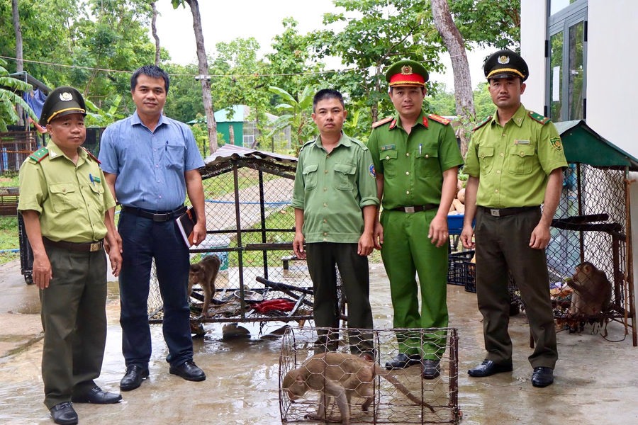 Đắk Lắk : Người dân tự nguyện giao nộp 3 cá thể khỉ quý hiếm