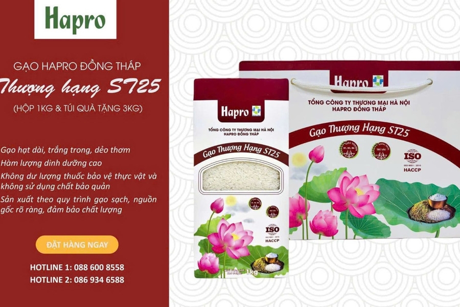 Gạo Hapro Thượng hạng ST25 và hành trình tạo khác biệt