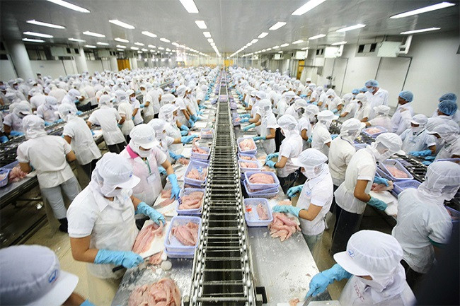 Lừa gạt người lao động bị phạt đến 75 triệu đồng