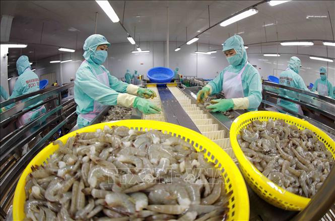 Xuất khẩu nông, lâm, thủy sản 6 tháng đạt gần 36 tỷ USD