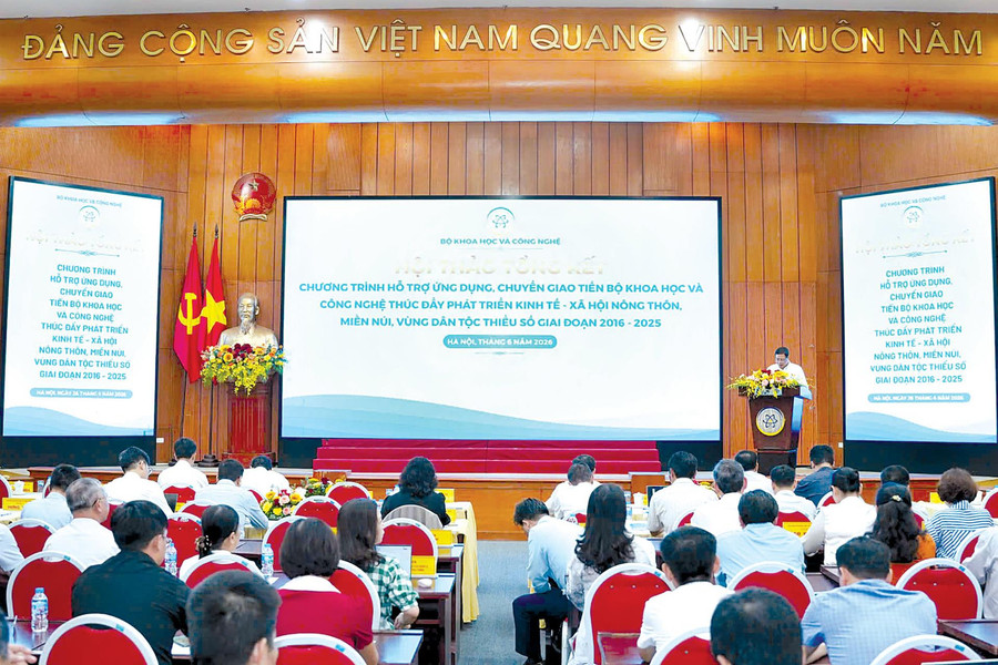 Mở hướng cho ngành dược liệu phát triển