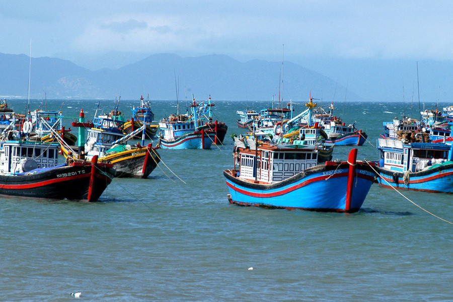TP. Hồ Chí Minh: Xử lý nghiêm chủ tàu, thuyền trưởng nếu vi phạm trong lĩnh vực thủy sản