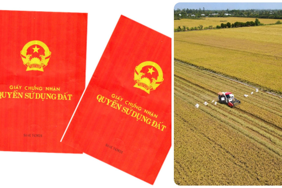 An Giang: Đồng bộ hơn 1,8 triệu thửa đất lên cơ sở dữ liệu quốc gia