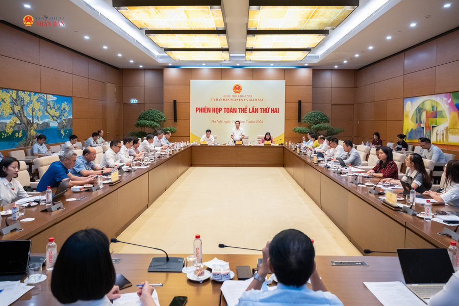 Cụ thể hóa cơ chế phối hợp giám sát việc thực hiện điều ước quốc tế