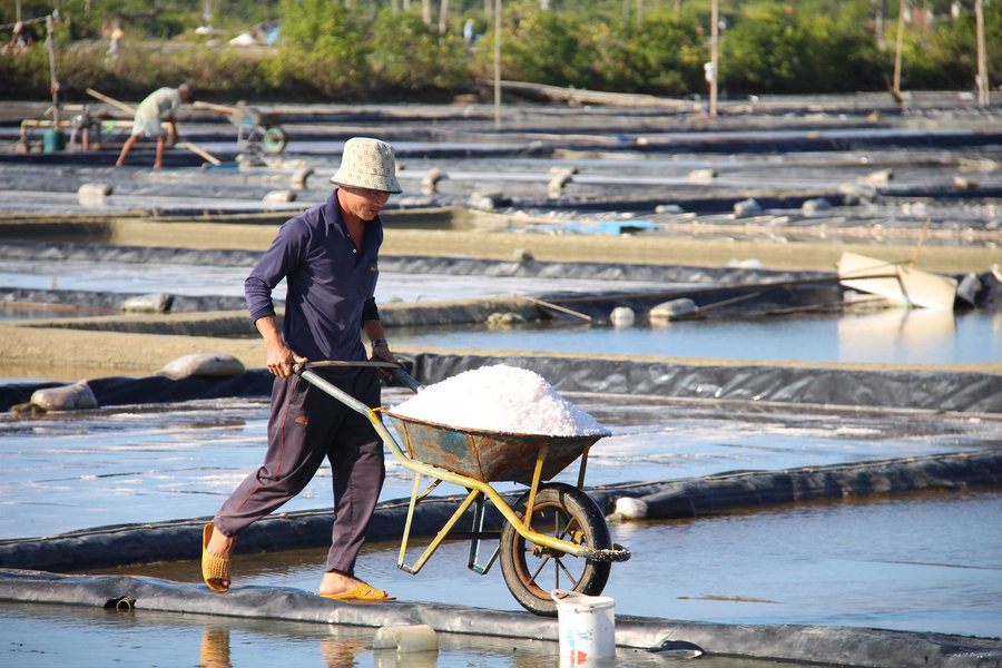 Gia Lai: Hàng nghìn tấn muối tồn đọng