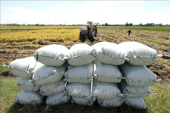Indonesia phát triển kinh tế nông thôn thông qua hợp tác xã làng Đỏ - Trắng