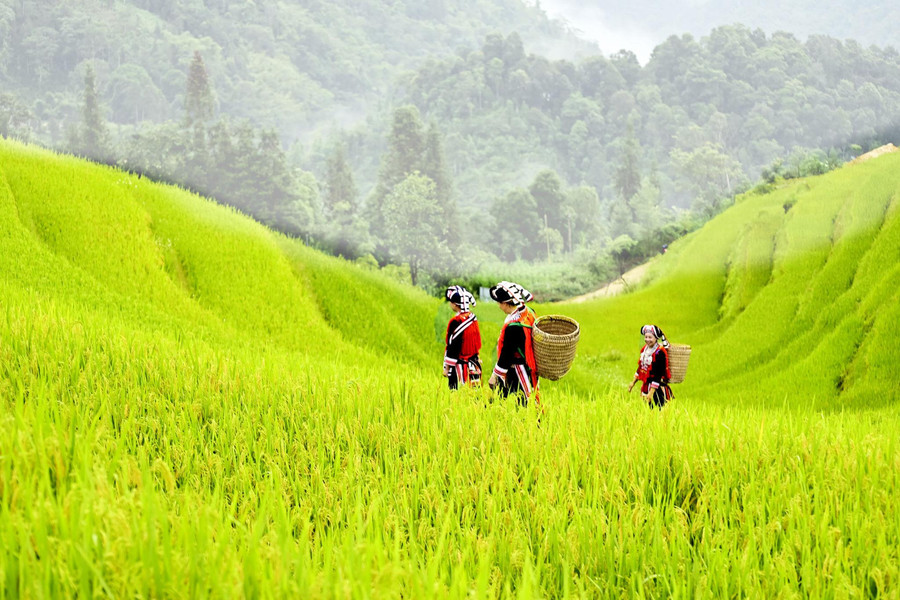 Thu nhập bình quân của người Việt đạt 6 triệu đồng/tháng