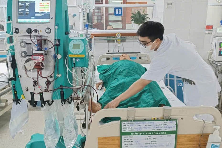 Ăn mật cá trắm để chữa bệnh, người đàn ông nguy kịch