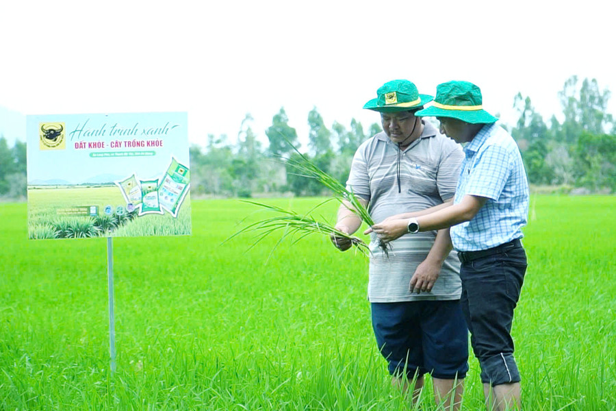 Làm giàu nhờ đổi mới tư duy trên vùng đất phèn