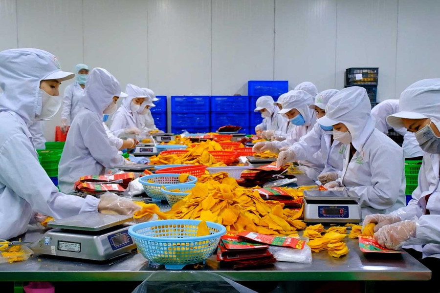 Doanh nghiệp phải quản trị rủi ro từ đầu vụ