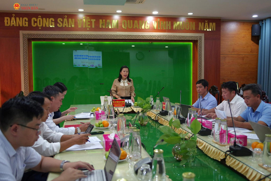 Đoàn ĐBQH tỉnh Đắk Lắk khảo sát việc thực hiện Luật Đất đai tại Sở Nông nghiệp và Môi trường