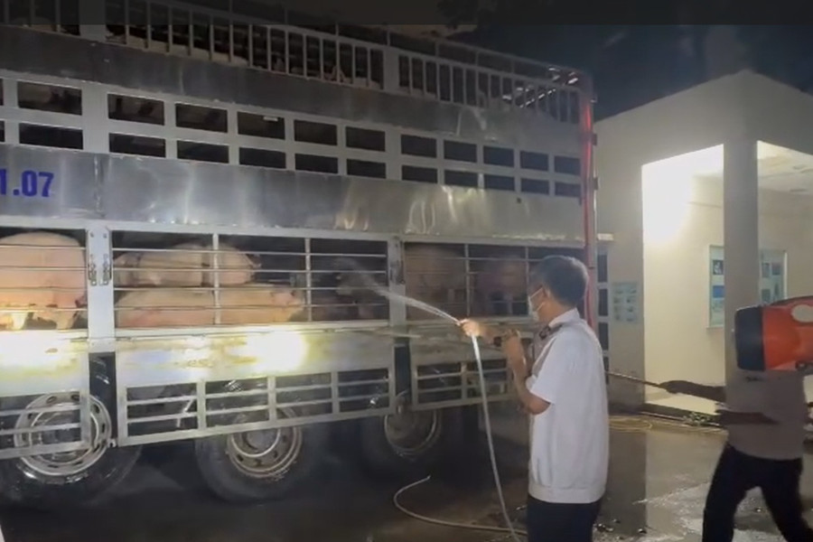 TP. Hồ Chí Minh: Tăng cường kiểm tra, giám sát dịch bệnh động vật và sử dụng chất cấm trong chăn nuôi