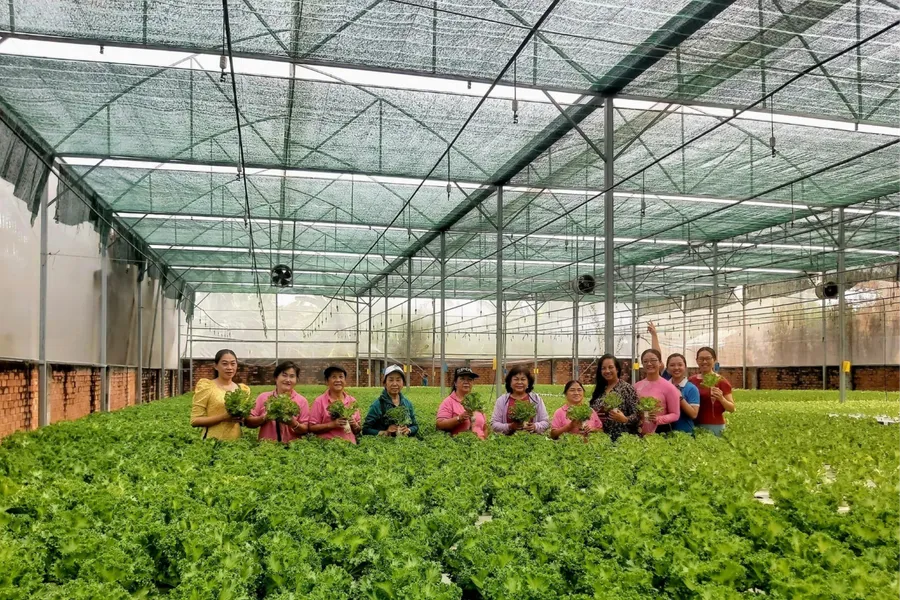 Số hóa dữ liệu giảm nghèo