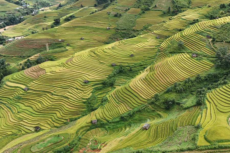 Lào Cai: Tiến hành kiểm tra, rà soát toàn diện các cơ sở lưu trú, homestay