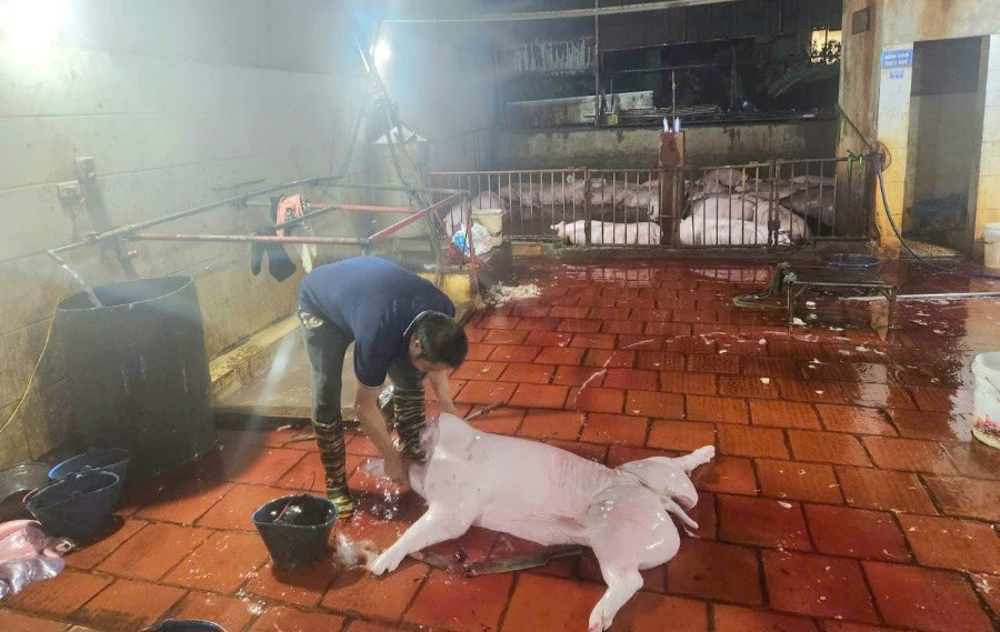 Không để thực phẩm bẩn len lỏi vào bữa ăn: Công an Hà Nội quyết liệt xử lý vi phạm