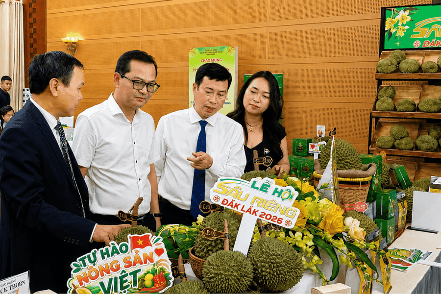 Đắk Lắk tạo đòn bẩy cho sầu riêng vươn xa