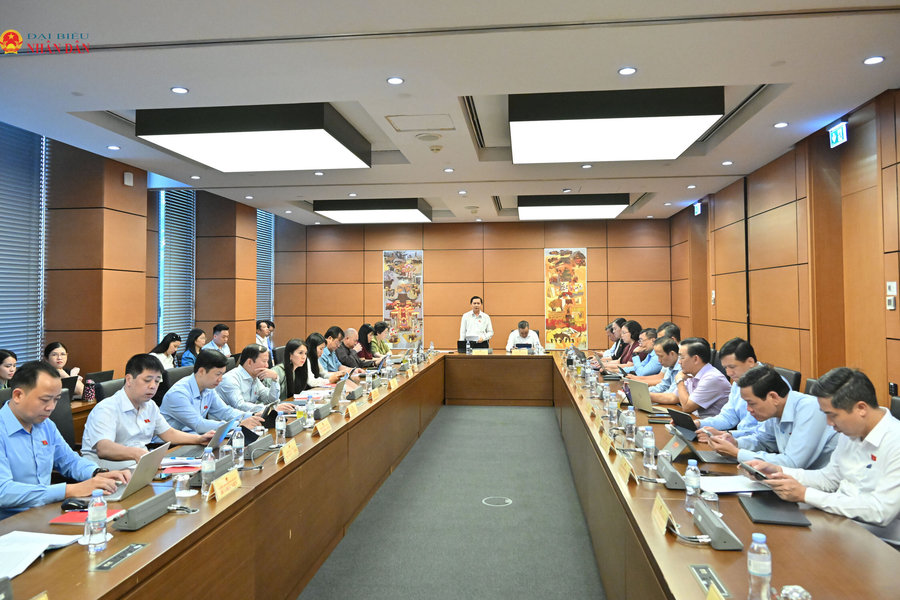 Chiều 6/8/2026, Thảo luận Tổ 12 (Vĩnh Long, Điện Biên, Lạng Sơn)