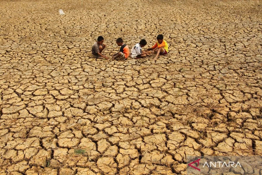 Indonesia tăng cường ứng phó nguy cơ El Niño, bảo vệ an ninh lương thực và nguồn nước
