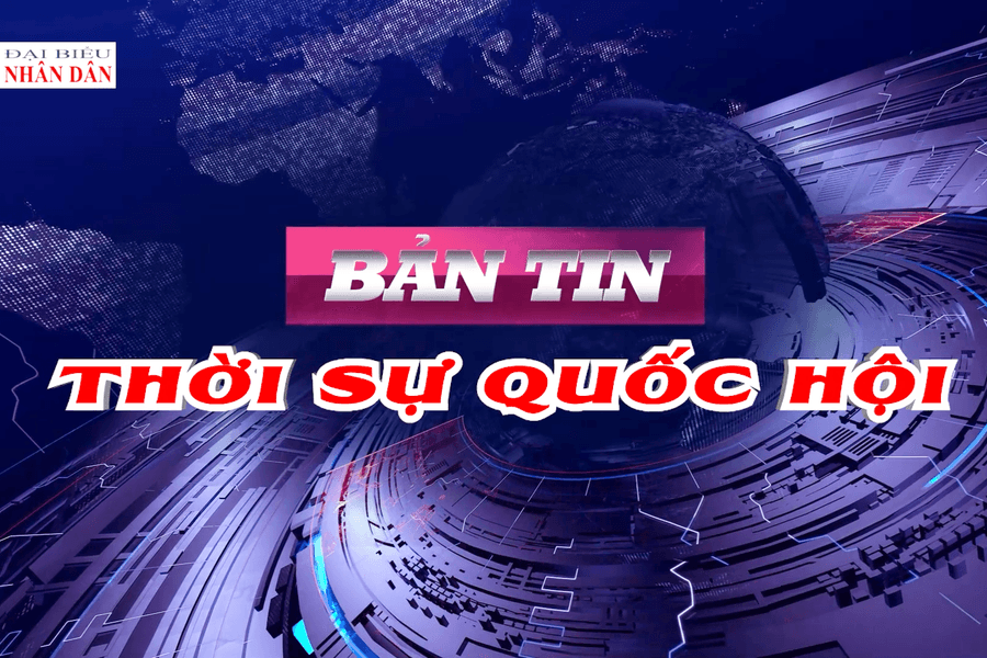 Bản tin Thời sự Quốc hội ngày 8/8/2026