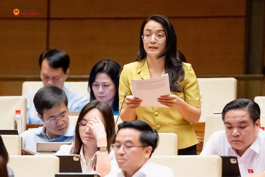 Làm rõ giới hạn áp dụng luật chuyên ngành trong bồi thường nhà nước
