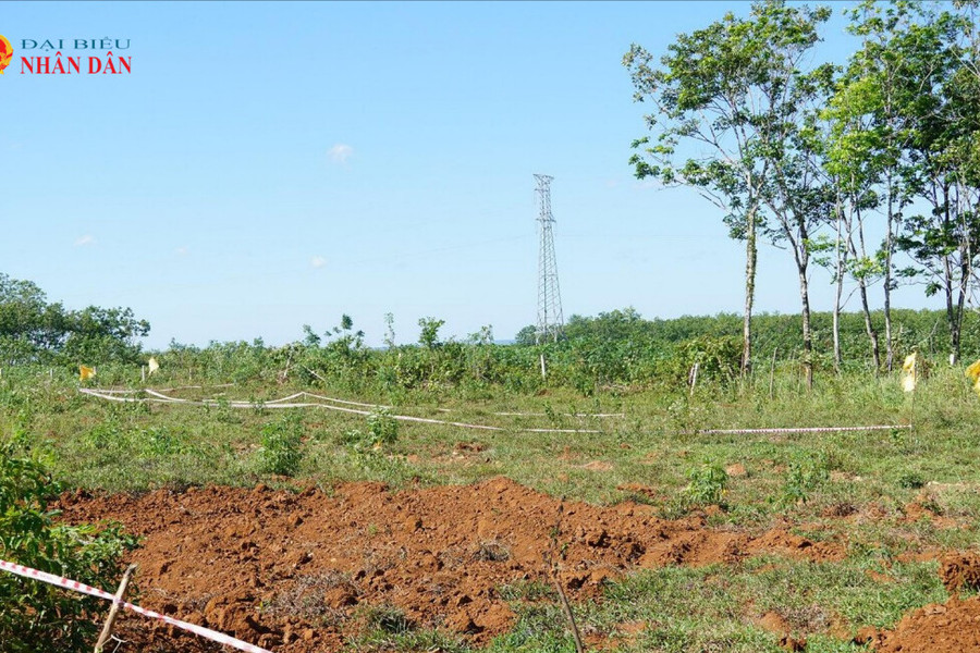 Quảng Trị: Đẩy nhanh tiến độ khảo sát, tìm kiếm hố mộ tập thể 173 liệt sĩ tại đồi Cồn Tiên