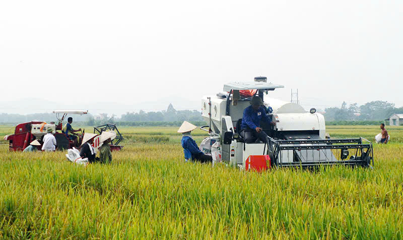 Mạch vốn chính sách thông suốt vùng đất Diễn Châu