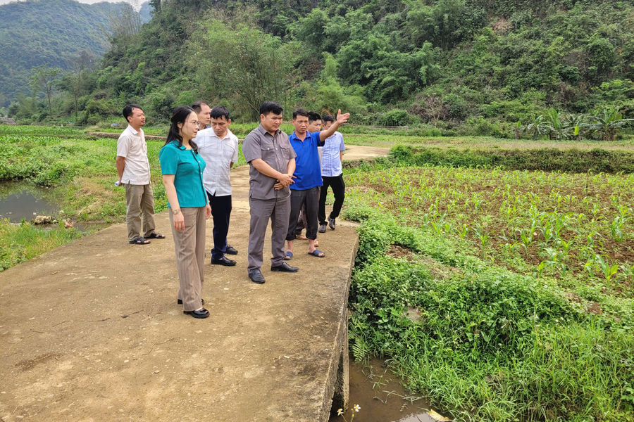 Hỏi - Đáp chính sách, pháp luật