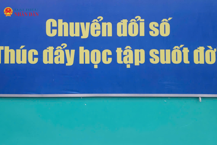 TP. Hồ Chí Minh: Áp dụng nguyên tắc “6 rõ - 1 xuyên suốt” trong giáo dục