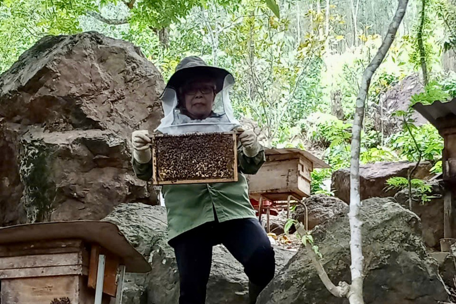 Phụ nữ làm giàu trên dãy Trường Sơn