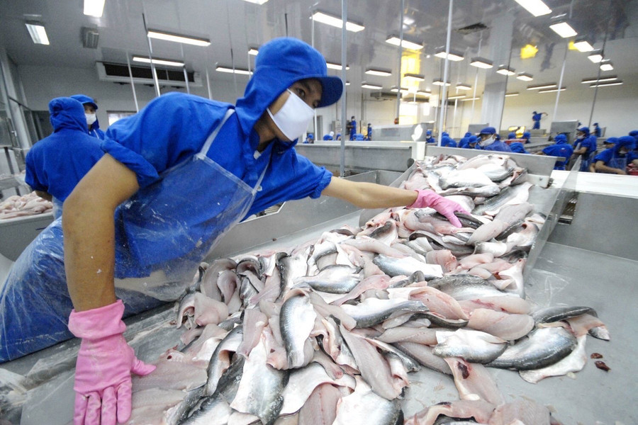 Biến phụ phẩm cá tra thành sản phẩm giá trị cao