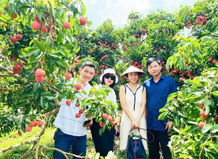 Phát triển du lịch nông thôn gắn với sản phẩm OCOP