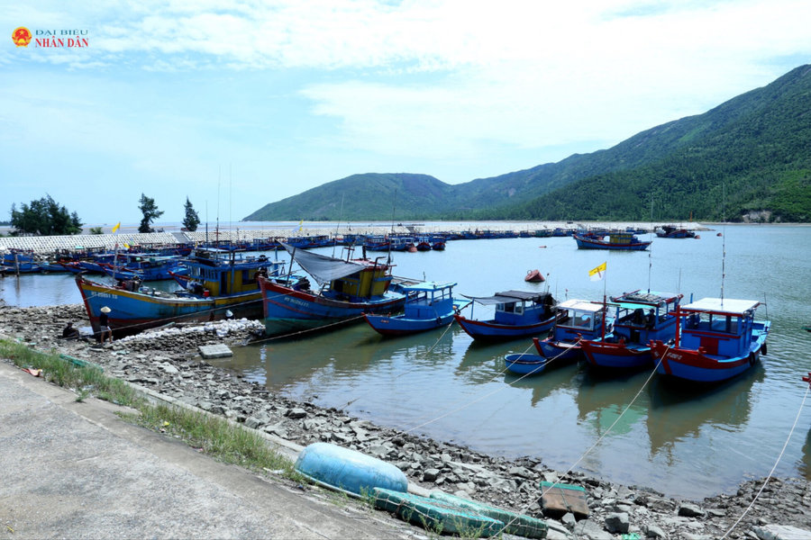 Hà Tĩnh tăng tốc khắc phục khuyến nghị IUU, quyết tâm gỡ “thẻ vàng”