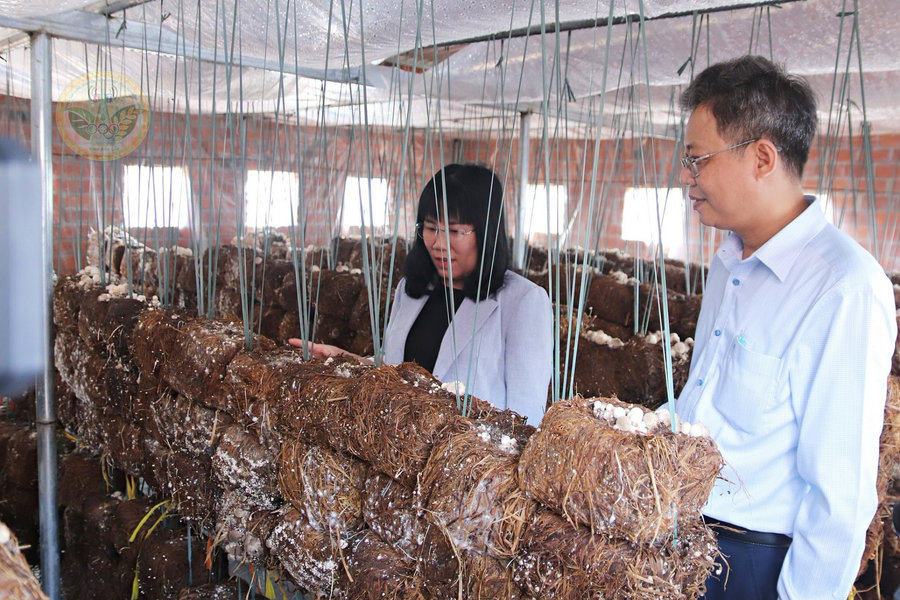 Từ hỗ trợ máy móc đến nâng tầm chuỗi giá trị