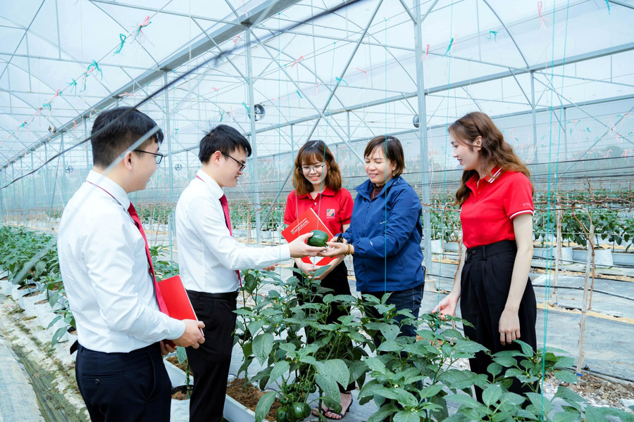 Dòng vốn Agribank bồi đắp động lực phát triển từ khu vực “Tam nông”