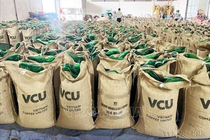 Đưa hợp tác kinh tế, thương mại Việt - Nga vào chiều sâu