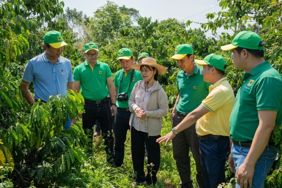 Bình Điền đồng hành cùng nông dân canh tác cà phê thích ứng biến đổi khí hậu