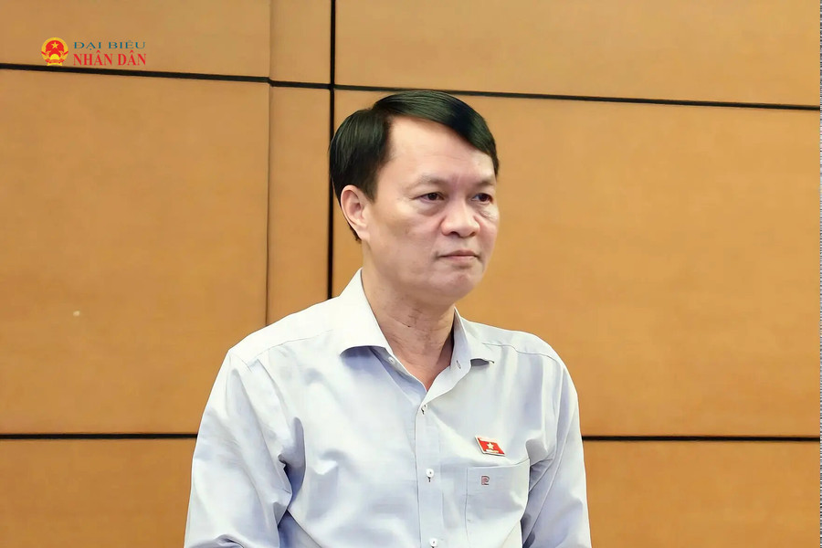 Kiểm soát chặt hoạt động lấn biển, bảo vệ sinh kế người dân